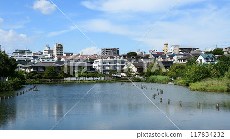 東京都大田區小池公園 東京都大田區小池公園 117834232