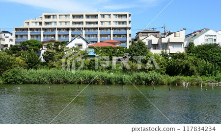 東京都大田區小池公園 117834234
