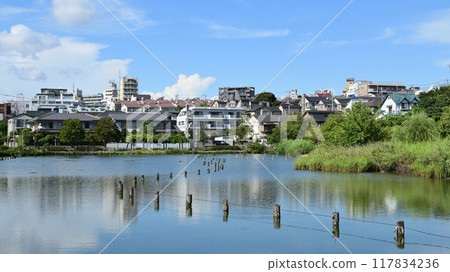 Koike Park, Ota Ward, Tokyo Koike Park, Ota Ward, Tokyo 117834236