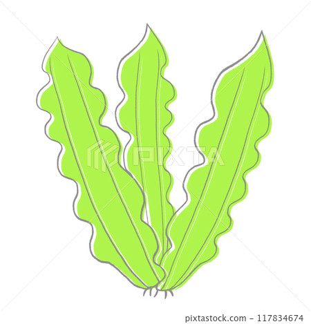 簡單的黃綠色海帶圖 簡單的黃綠色海帶圖 117834674