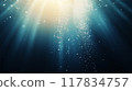 underwater scene with sea and ocean 117834757