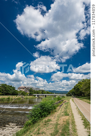 京都鴨川夏景 京都鴨川夏景 117834859