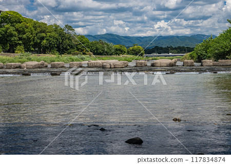京都鴨川夏景 京都鴨川夏景 117834874
