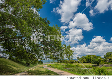 京都鴨川夏日風景 京都鴨川夏日風景 117834895
