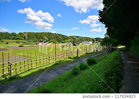 Shinshiro City: The Shitarahara Battlefield (Shitarahara Historic Battlefield) on a clear day 117834925
