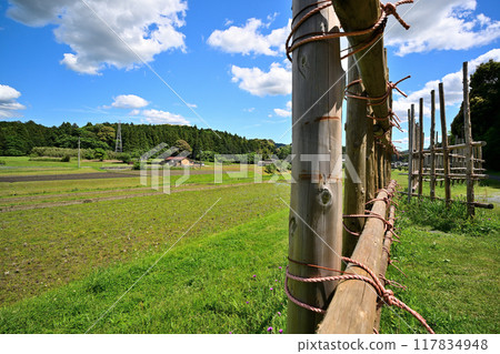 晴天的新城市設原戰場（設原戰場） 117834948