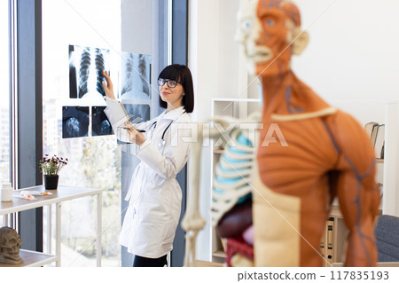 Doctor examining X-rays in modern medical office 117835193