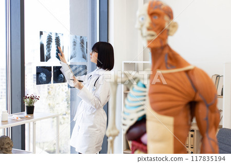 Doctor analyzing chest X-rays in medical office Doctor analyzing chest X-rays in medical office 117835194