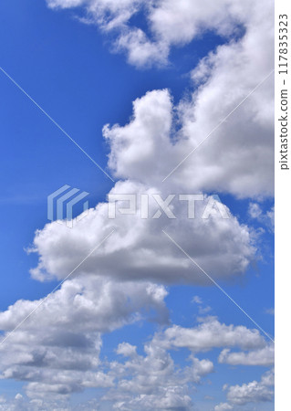 Summer sky over Yokohama cityscape in Japan. The Japanese archipelago continues to be extremely hot... Cotton clouds pass through the metropolitan area... = August 26, from Yokohama 117835323