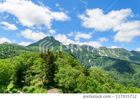 層雲峽黑嶽山麓散步 117835712