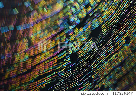 A close-up of a spider web shining iridescently in the morning sun A close-up of a spider web shining iridescently in the morning sun 117836147