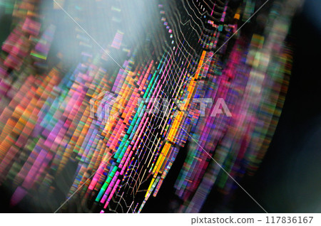 A close-up of a spider web shining iridescently in the morning sun A close-up of a spider web shining iridescently in the morning sun 117836167