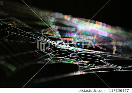 A close-up of a spider web shining iridescently in the morning sun A close-up of a spider web shining iridescently in the morning sun 117836177