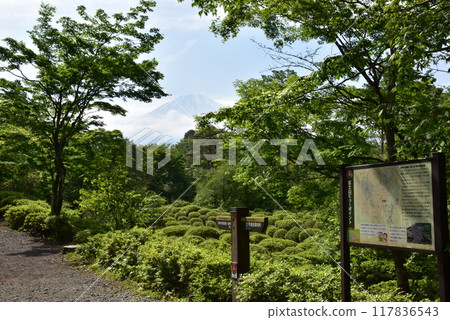 Gotemba City, Mt. Fuji, Kiyohiroen, Inno's lava tunnel, Mt. Fuji spot, and fresh greenery Gotemba City, Mt. Fuji, Kiyohiroen, Inno's lava tunnel, Mt. Fuji spot, and fresh greenery 117836543