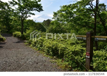 Gotemba City, Mt. Fuji, Kiyohiroen, Inno's lava tunnel, Mt. Fuji spot, and fresh greenery Gotemba City, Mt. Fuji, Kiyohiroen, Inno's lava tunnel, Mt. Fuji spot, and fresh greenery 117836544