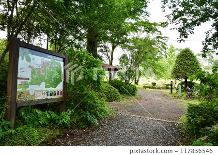 Gotemba City, Mt. Fuji, Kiyohiroen, Inno's Lava Tunnel Sightseeing Course and Fresh Green Gotemba City, Mt. Fuji, Kiyohiroen, Inno's Lava Tunnel Sightseeing Course and Fresh Green 117836546