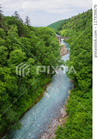 一條藍色的河流流經明亮的綠色森林 一條藍色的河流流經明亮的綠色森林 117836676