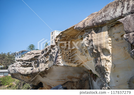 邦迪海灘岩石 117837279