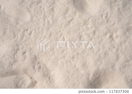 白三明治 117837308