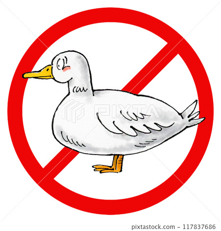 Duck prohibition sign Duck prohibition sign 117837686
