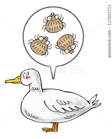 Duck and tick 117837711