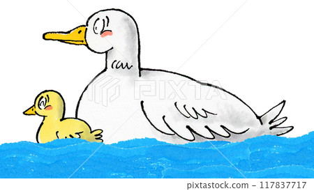 Ducks and ducklings on the waterside 117837717