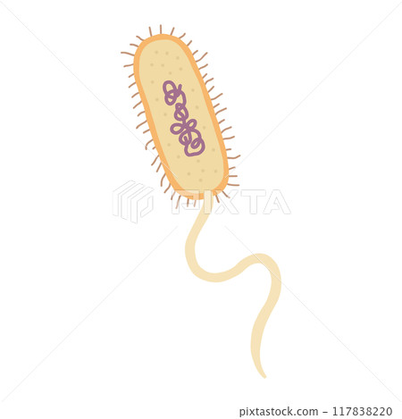 Prokaryotes 117838220