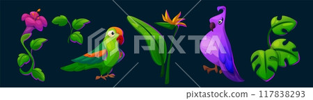 Parrot and tropical flower summer illustration 117838293