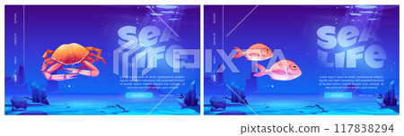 Sea life website templates set Sea life website templates set 117838294