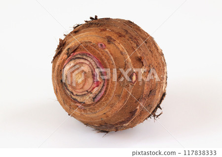 白色背景上的芋頭（紅芽） 117838333