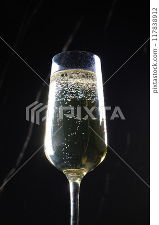 A flute filled with chilled champagne (sparkling wine) A flute filled with chilled champagne (sparkling wine) 117838912