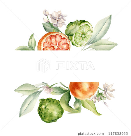 Half bergamot and orange fruits watercolor illustration isolated. Whole citrus and jasmine in frame. Hand drawn assorted fruits and branches in botanical sketch for summer floral invitation, package 117838933