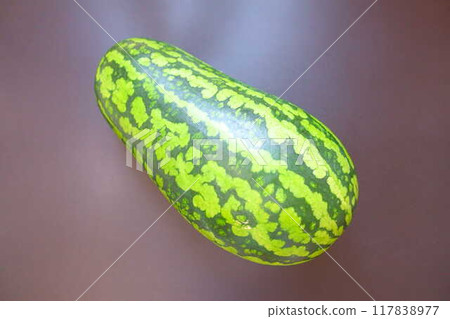 西瓜 西瓜 烏裡博 117838977