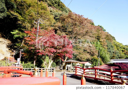 Oyama autumn leaves Oyama autumn leaves 117840067