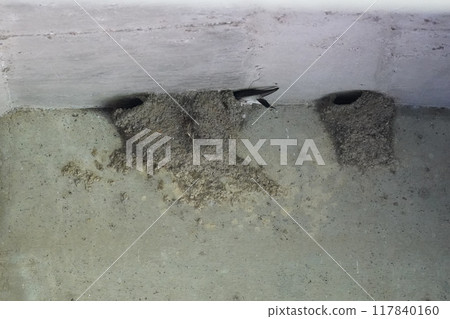 Waterproofing a deteriorated vinyl greenhouse Waterproofing a deteriorated vinyl greenhouse 117840160