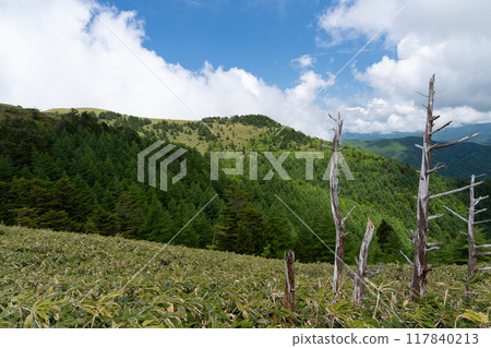 Refreshing summer plateau 117840213