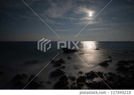 月光海岸 愛知縣 117840218
