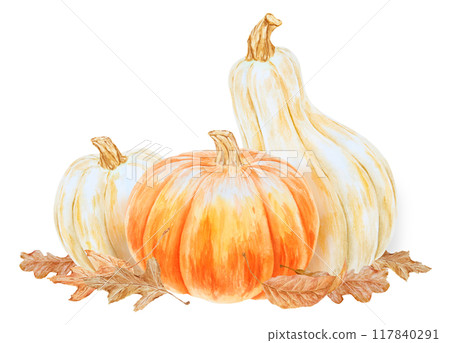 Orange and white pumpkins, dry brown leaves illustration. Halloween clip art. Hand drawn watercolor botanical isolated painting with fall vegetables for banner template, prints, cards, stickers Orange and white pumpkins, dry brown leaves illustration. Halloween clip art. Hand drawn watercolor botanical isolated painting with fall vegetables for banner template, prints, cards, stickers 117840291