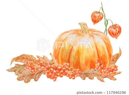 Orange pumpkin, rowan berries, physalis, dry brown leaves illustration. Hand drawn watercolor isolated clip art with fall vegetables and plants for banner template, halloween print, farm goods packing 117840296