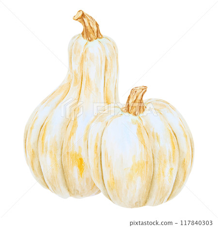 White pumpkins, squash. Harvest illustration. Cut out isolated autumn vegetable clipart. Botanical realistic hand drawn watercolor painting. Halloween design element. Suitable for invitations, prints 117840303
