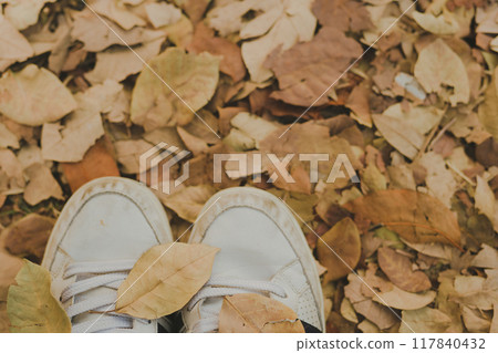 dry leaf on floor with white shoes in autumn season dry leaf on floor with white shoes in autumn season 117840432