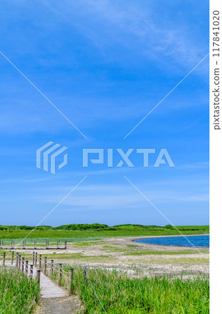 北海道東部佐呂間湖 Wakka 原始花園 北海道東部佐呂間湖 Wakka 原始花園 117841020