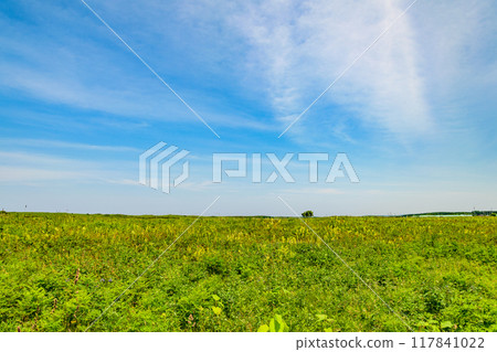 Eastern Hokkaido Lake Saroma Wakka Primeval Flower Garden 117841022