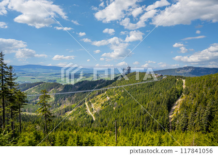 A view of the Sky Bridge 721 and Sky Walk Lookout Tower in Dolni Morava Resort, Czechia, with a lush green landscape surrounding it. A view of the Sky Bridge 721 and Sky Walk Lookout Tower in Dolni Morava Resort, Czechia, with a lush green landscape surrounding it. 117841056