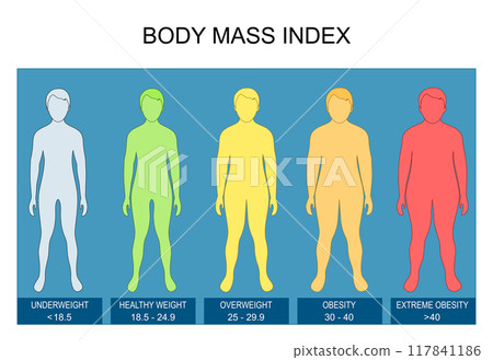 Body Mass Index Body Mass Index 117841186