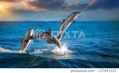 Dolphins jumping in the ocean (AI-generated image) 117841323