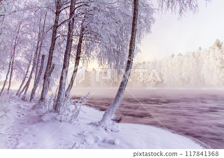 Cold winter day sunset landscape with snowy trees. 117841368