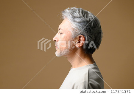 Gray hair men beauty beauty 117841571