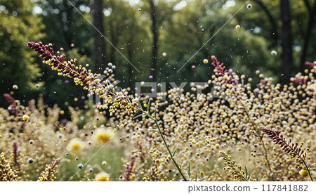 Pollen grains and pollen particles, which can trigger allergies, are transported by wind through the air in a meadow in spring - ai generated 117841882