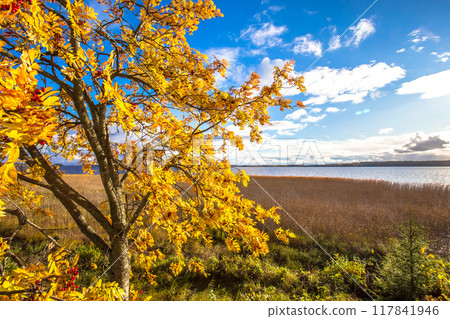 lake, landscape, scenery 117841946